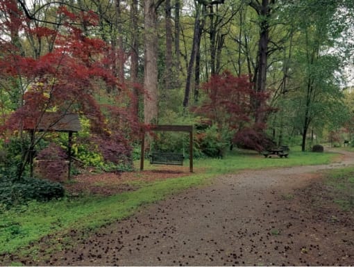 Affinitee at Pine Lake Apartments in Pine Lake, GA photo of a path through a park with trees and a bench