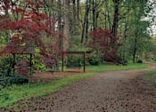 Thumbnail 1 of 12 - Affinitee at Pine Lake Apartments in Pine Lake, GA photo of a path through a park with trees and a bench